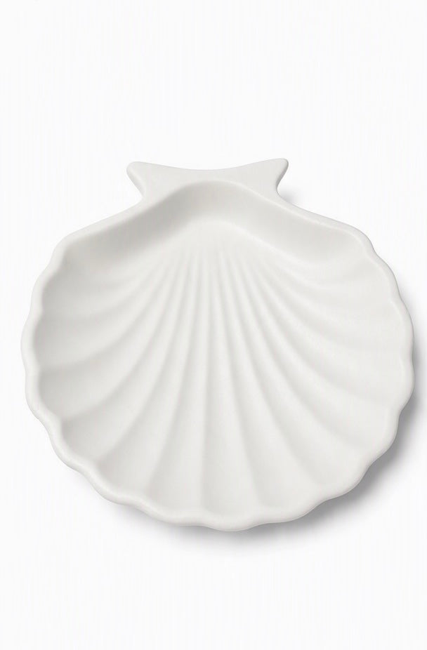 Seashell plate