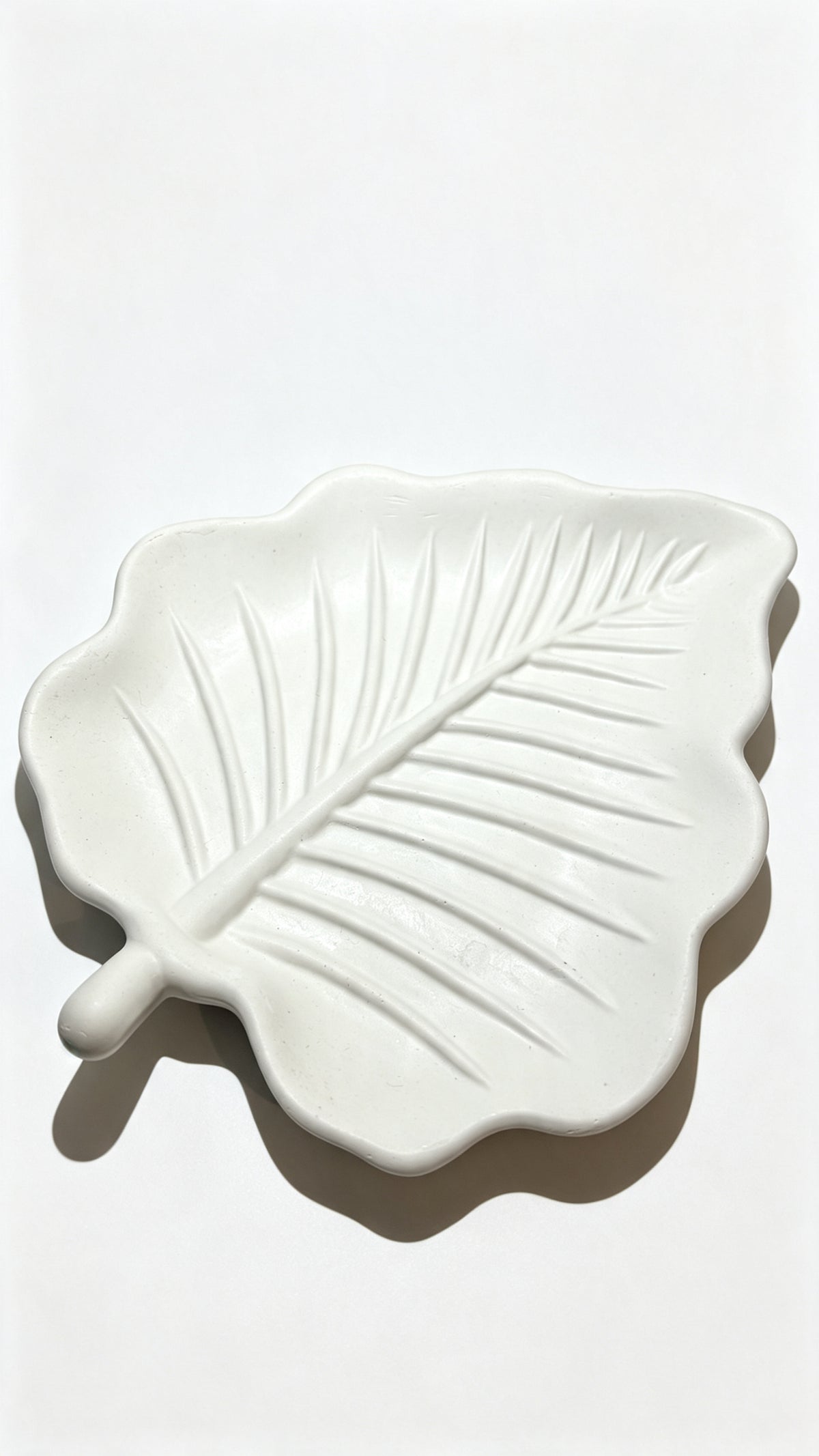 Leaf plate