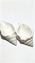Seashells